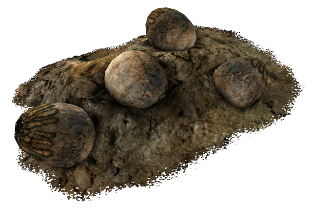File:Deathclaw eggs.png