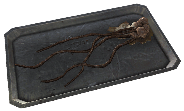 File:FO3MZ alien squid food.png