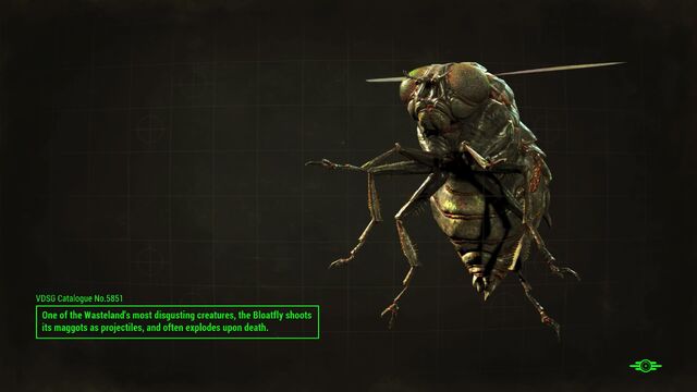 File:FO4 Bloatfly loading screen.jpg