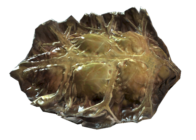 File:Fo4 radroach meat.png