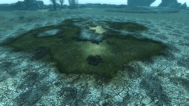 File:TestMuckPool01 2.jpg