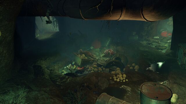 File:FO4 Mole rat den1.jpg