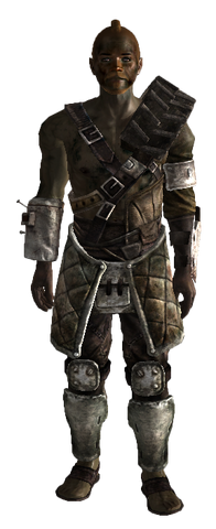 File:Raider Blastmaster Armor.png
