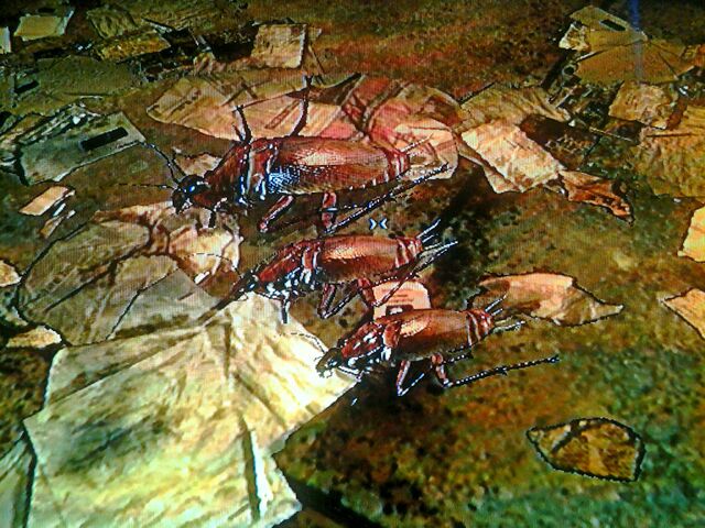 File:Photo0127E001D.jpg