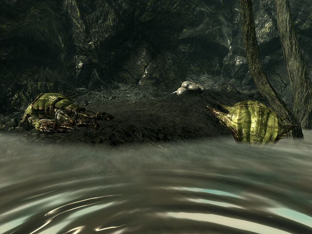 File:Swamplurks Bog.jpg