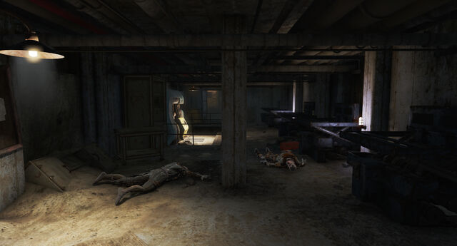 File:BeaverCreek-Backroom-FarHarbor.jpg