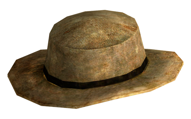 File:Rawhide cowboy hat.png