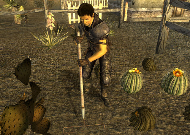File:Goodsprings settler.jpg