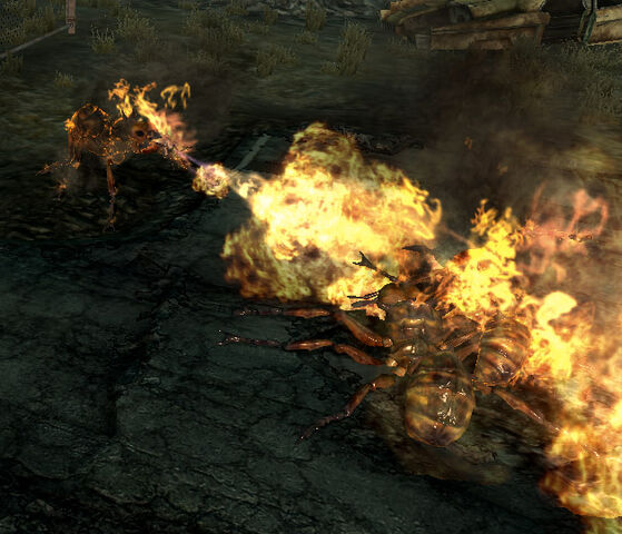 File:Frenzied fire ants.jpg