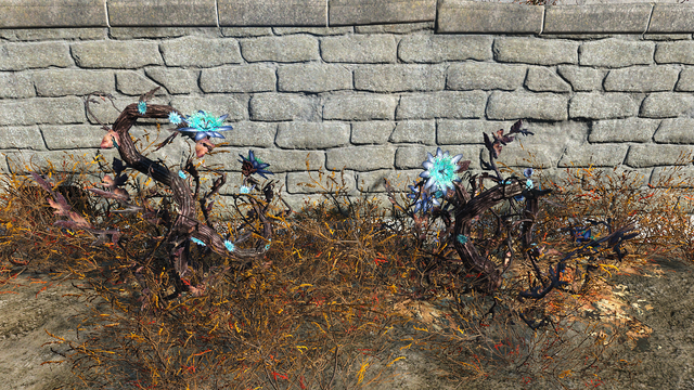 File:Fever blossom day.png