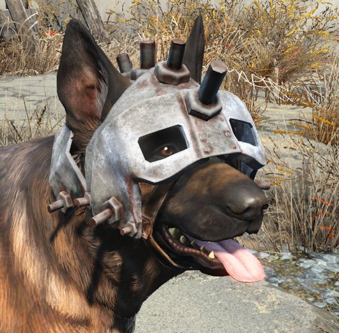 File:Dog helmet worn.png