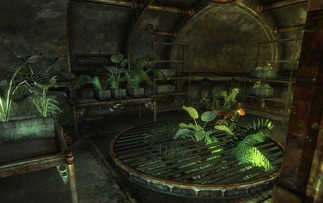 File:FNV Vault 22 Experiment.png