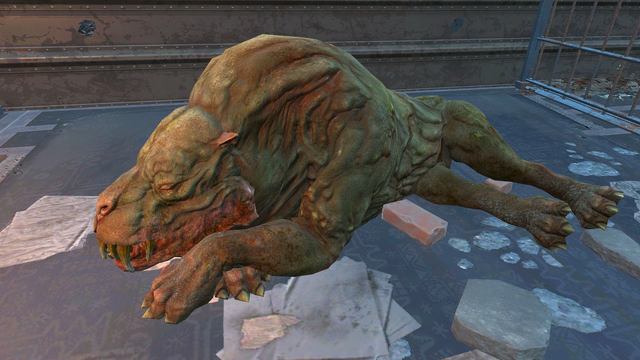 File:FO4FH Gracie.png