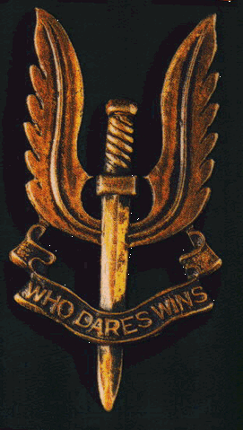 File:Sas-logo.gif