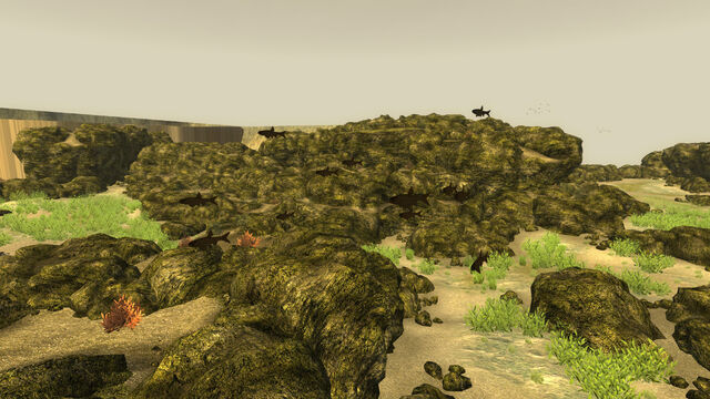 File:Fish lake mead.jpg
