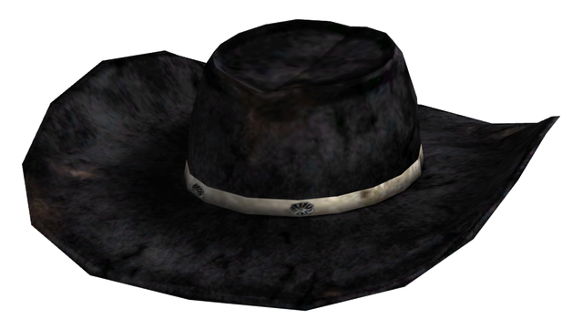 File:Desperado cowboy hat.png