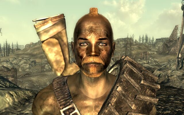 File:FO3JiggsRaider.jpg