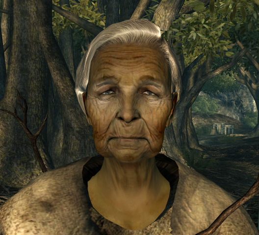 File:FO3 Poplar w hood.png