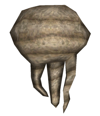 File:Xander root.png