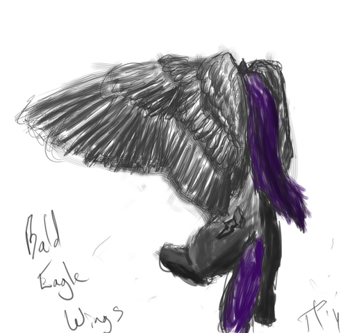 File:Morninggloryshytalon.png