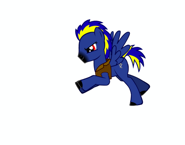 File:Raider SPARE.png