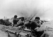 German troops Syria