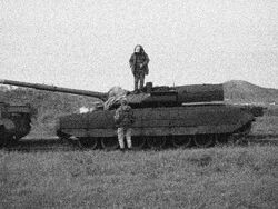 T87 in poland