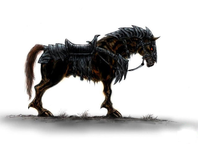 File:Horse.jpg