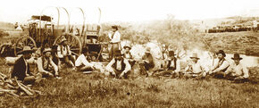 Cattle Drive