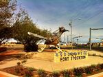 Roadrunner-Stockton