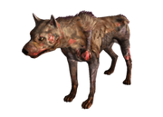 250px-Vicious Dog