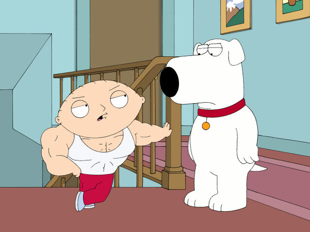 File:FGStewroids2.jpg