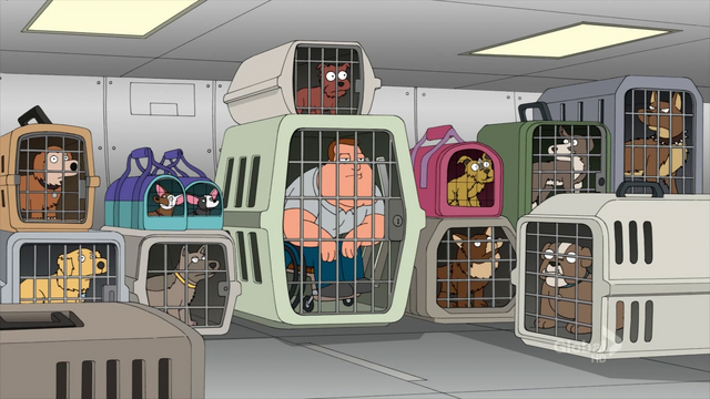 File:Joedogs.png