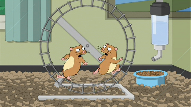 File:2 hamsters.png