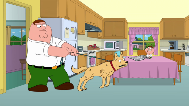 File:Bingodingo.png
