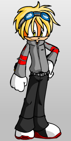 Archivo:Nicolas the Hedgehog.png