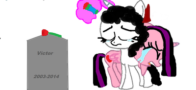 Imagenes.png