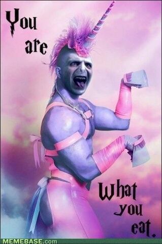 File:Memes-untitled2.jpg