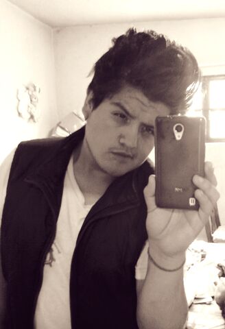 Archivo:LuizArreguin.jpg