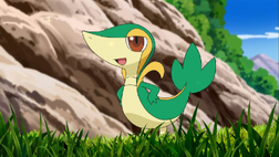 Ash's Snivy.png