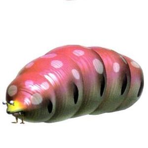 Empress Bulblax