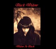 Black Widow-Widow In Black
