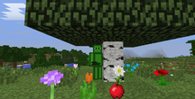 Steco loves Flowers