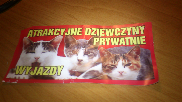 Plik:DSC 0003.png