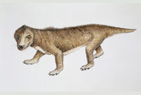 Thrinaxodon2.jpg