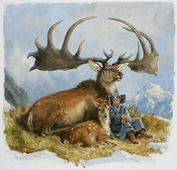 Irish elk