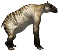 Ancylotherium.jpg