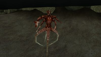 Дреуг 11.jpg