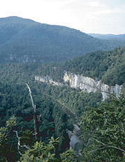 180px-BuffaloRiver