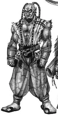 diablo editor character 2 Fantasy FANDOM orc (World Races Warcraft) Wiki Half of diablo editor character 2 Fantasy FANDOM orc (World Races Warcraft) Wiki Half of